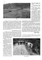giornale/CFI0525499/1942/unico/00000434