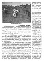 giornale/CFI0525499/1942/unico/00000488