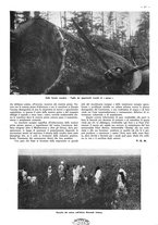 giornale/CFI0525499/1942/unico/00000551