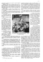 giornale/CFI0525499/1943/N.25/00000031