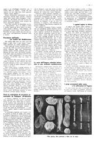 giornale/CFI0525499/1943/N.25/00000091