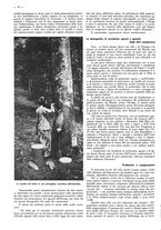 giornale/CFI0525499/1943/N.25/00000120