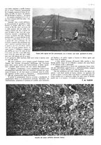 giornale/CFI0525499/1943/N.25/00000121