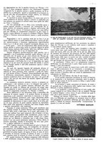 giornale/CFI0525499/1943/N.25/00000157