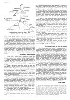 giornale/CFI0525499/1943/N.25/00000206