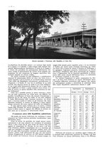 giornale/CFI0525499/1943/Nov-dic/00000012