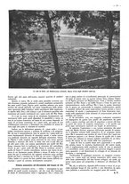 giornale/CFI0525499/1944/unico/00000035