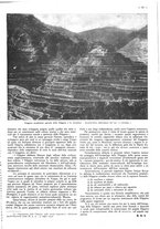 giornale/CFI0525499/1944/unico/00000133