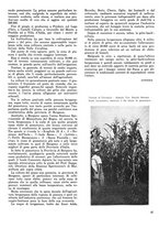 giornale/CFI0719426/1942/unico/00000246