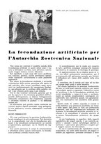 giornale/CFI0719426/1943/unico/00000226