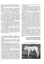 giornale/CFI0719426/1943/unico/00000229
