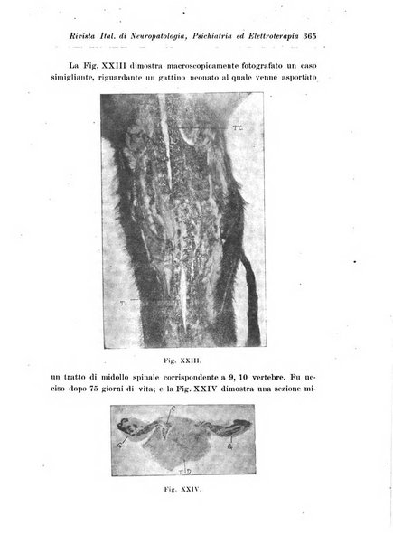 Rivista italiana di neuropatologia, psichiatria ed elettroterapia