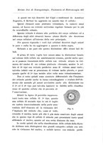 giornale/CFI0721090/1908/unico/00000447