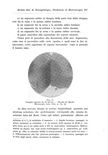 Rivista italiana di neuropatologia, psichiatria ed elettroterapia