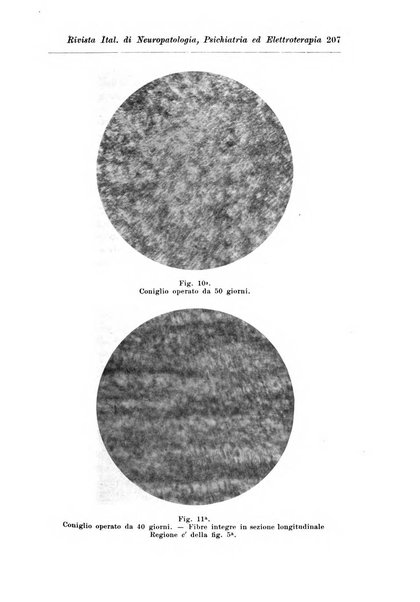 Rivista italiana di neuropatologia, psichiatria ed elettroterapia