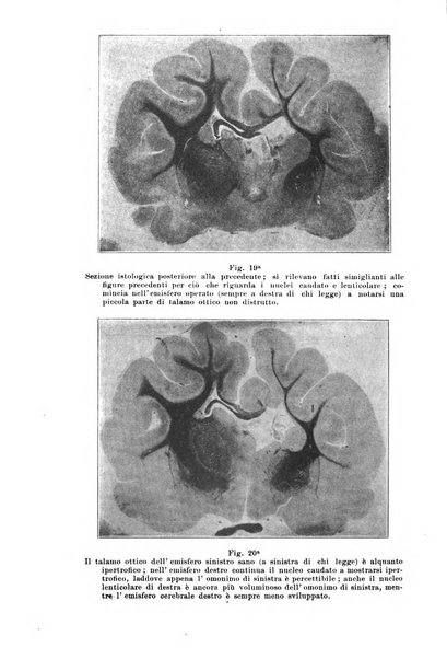 Rivista italiana di neuropatologia, psichiatria ed elettroterapia