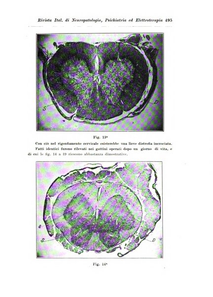 Rivista italiana di neuropatologia, psichiatria ed elettroterapia