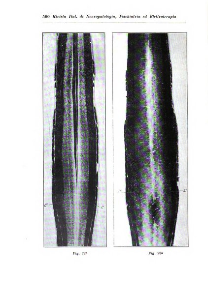 Rivista italiana di neuropatologia, psichiatria ed elettroterapia