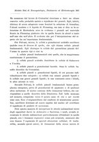 giornale/CFI0721090/1916/unico/00000359