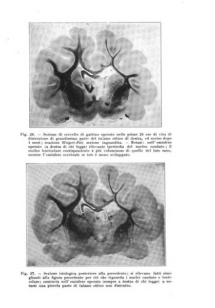 Rivista italiana di neuropatologia, psichiatria ed elettroterapia