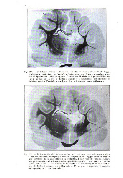 Rivista italiana di neuropatologia, psichiatria ed elettroterapia