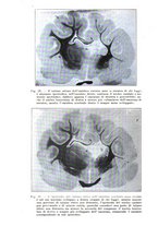 giornale/CFI0721090/1916/unico/00000432