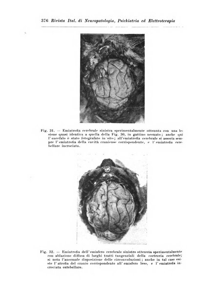 Rivista italiana di neuropatologia, psichiatria ed elettroterapia