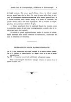 giornale/CFI0721090/1917/unico/00000019