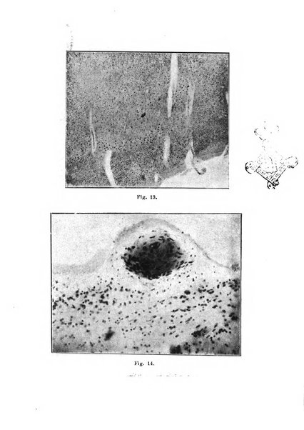 Rivista italiana di neuropatologia, psichiatria ed elettroterapia