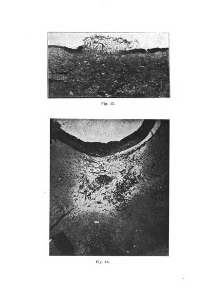 Rivista italiana di neuropatologia, psichiatria ed elettroterapia