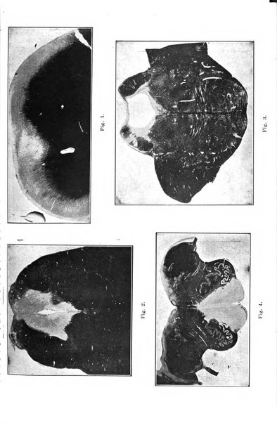 Rivista italiana di neuropatologia, psichiatria ed elettroterapia