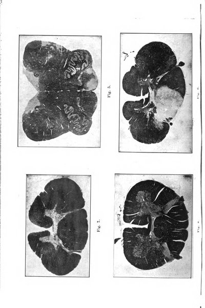 Rivista italiana di neuropatologia, psichiatria ed elettroterapia