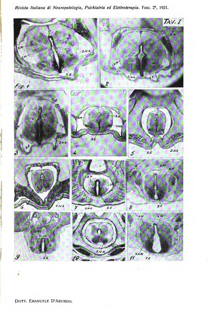 Rivista italiana di neuropatologia, psichiatria ed elettroterapia