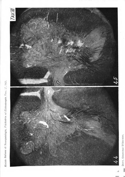 Rivista italiana di neuropatologia, psichiatria ed elettroterapia