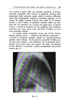 giornale/CFI0721266/1933/unico/00000399