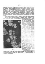 giornale/CUB0703669/1923/unico/00000397
