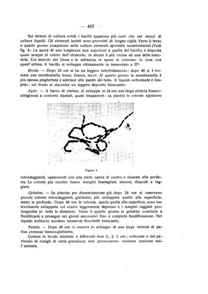 Bollettino d'oculistica periodico d'oculistica pratica