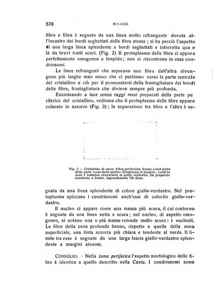 Bollettino d'oculistica periodico d'oculistica pratica