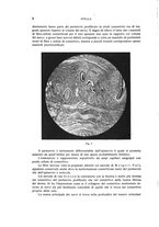 giornale/CUB0703669/1926/unico/00000018