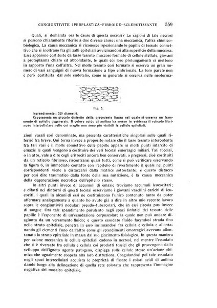 Bollettino d'oculistica periodico d'oculistica pratica