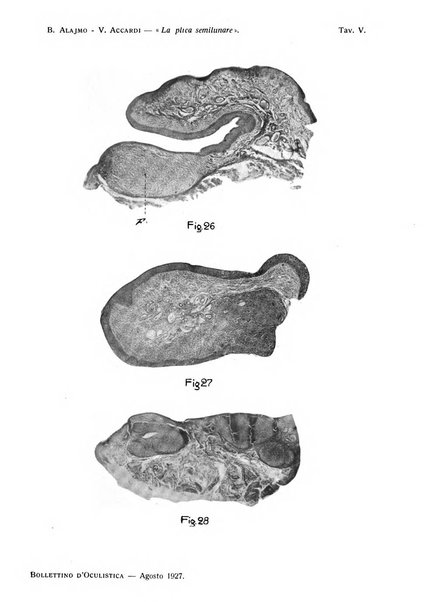 Bollettino d'oculistica periodico d'oculistica pratica