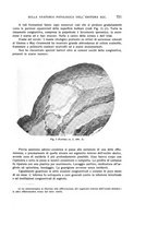 giornale/CUB0703669/1927/unico/00000817