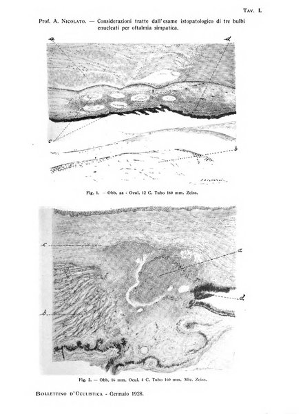 Bollettino d'oculistica periodico d'oculistica pratica