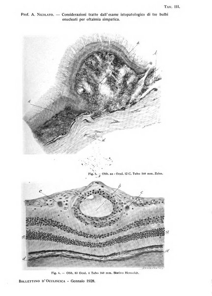 Bollettino d'oculistica periodico d'oculistica pratica