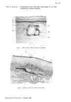 giornale/CUB0703669/1928/unico/00000081
