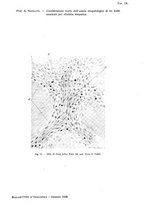 giornale/CUB0703669/1928/unico/00000091