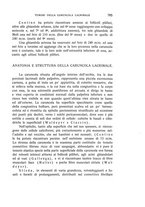 giornale/CUB0703669/1928/unico/00000847