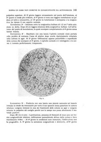 Bollettino d'oculistica periodico d'oculistica pratica