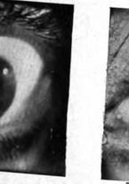 giornale/CUB0703669/1931/unico/00000061