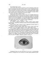 giornale/CUB0703669/1931/unico/00000148